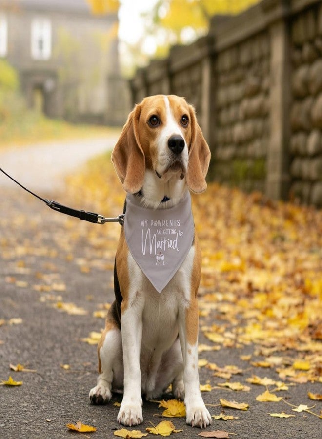 ZPPRJF My Parents are Getting Married Dog Bandana, Dog Wedding Bandanas, Gray Dogs Bandana, Pet Engagement Triangle Scarf, Gift for Dogs Lover - Image 5